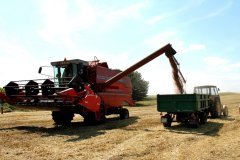 Massey Ferguson 34