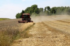 Massey Ferguson 34