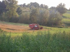 Massey Ferguson 525