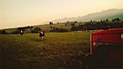 Massey Ferguson 3075