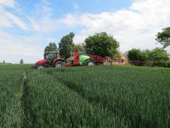 Massey Ferguson 5609 + Krukowiak Goliat Plus