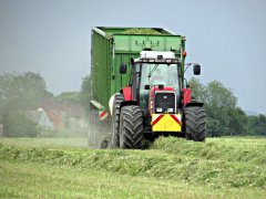 Massey Ferguson 8170&Krone ZX 550 GD