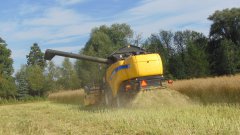 New Holland cx5080 & Żniwa