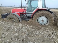 Massey Ferguson 3115