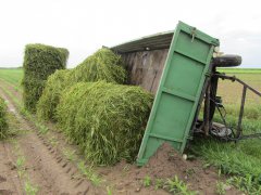 Wiosenna wpadka cz.1