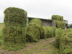 Wiosenna wpadka cz.2