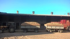 Ursus C-330 i przyczepy