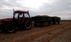Zetor + dwa razy autosan D45