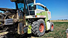 Claas Jaguar 860