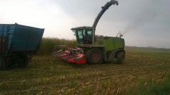 Claas Jaguar 900