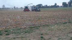 Claas Jaguar 940 & Fendt Vario 820