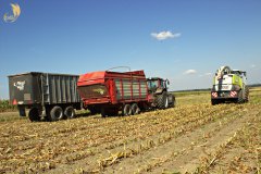 Claas Jaguar 940+Orbis 750 & 2 x Valtra