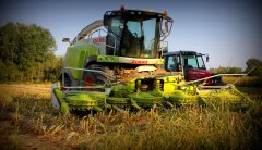 Claas Jaguar 950
