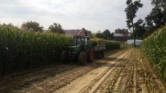 Fendt 309 LSA