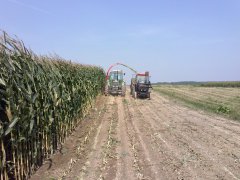 Fendt 309 LSA