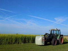 Fendt 310 LSA