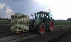 Fendt 313 Vario