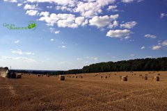 Fendt  716  Vario + Claas Variant 385