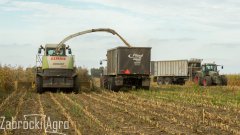 Fendt 718 i 714 Vario TMS & Claas Jaguar Fliegl ASW