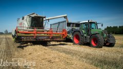 Fendt 718 Vario TMS Claas Lexion 430