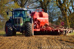 Fendt 920 TMS Vario i Horsch Pronto DC 6