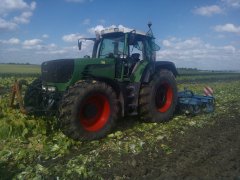 Fendt 920 Vario Tms& Mandam gal