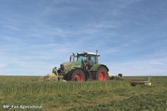 Fendt 939 + Krone EasyCut B1000CV