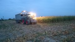 Fendt Vario 820 & fliegl gigant & Claas Jaguar 940