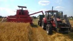 Farmer 8244 C2 + Pronar T-672 i Bizon Super ZO56