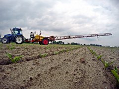 Buraki Cukrowe i New Holland i TAD-LEN