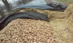Ziemniaki w kopcu