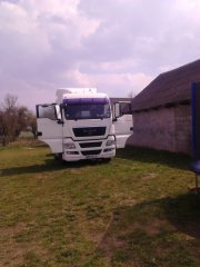 MAN TGX 440