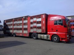 Man TGX oraz naczepa PEZZAIOLI