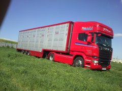 Scania R520