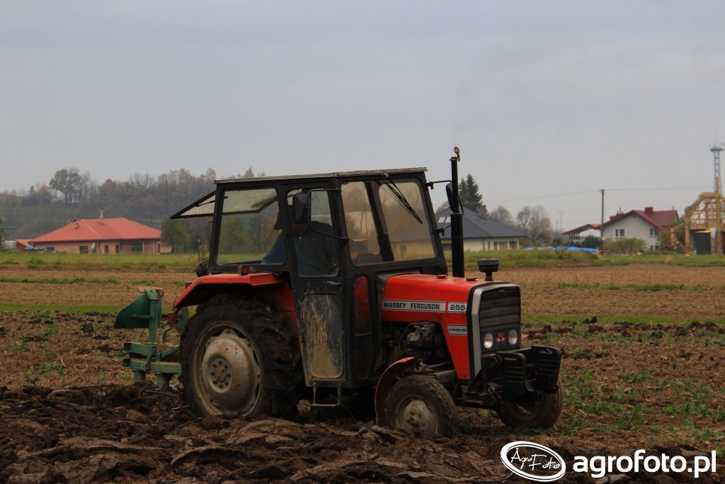 Massey Ferguson 255 & Akpil 250