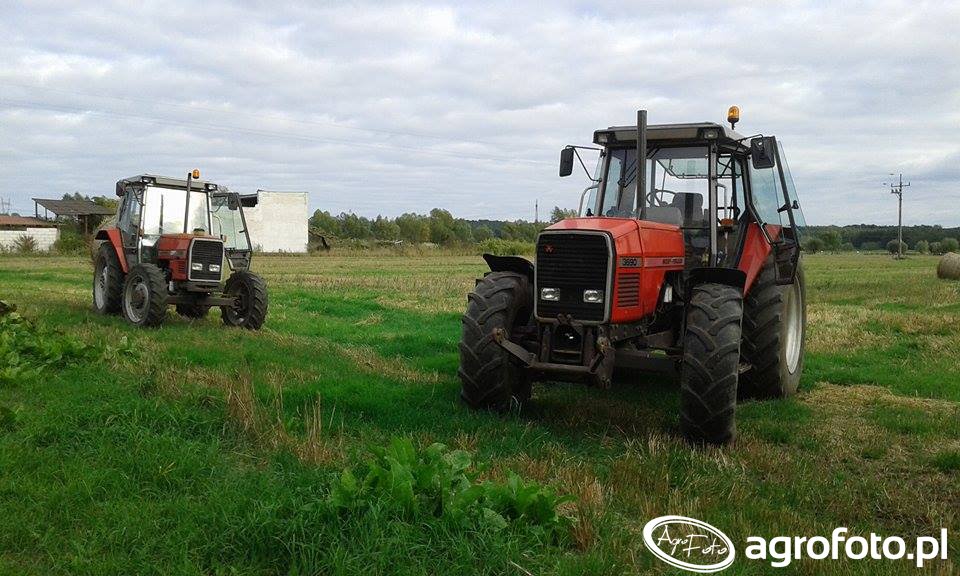 Obraz ciagnik Massey Ferguson 3690 id:609433 - Galeria rolnicza agrofoto