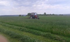 Massey Ferguson 235 & kosiarka Z-041