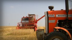 Massey Ferguson 255 & Massey Ferguson 307 Żniwa 2015