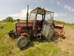 Massey ferguson 255 + Stegsted