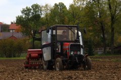 Massey Ferguson 255 & Stegsted