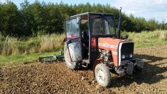 Massey Ferguson 255 & wahadłówka