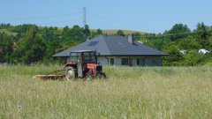 Massey ferguson 255 + Wirax Z-069
