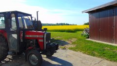 Massey ferguson 255