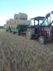 Massey Ferguson 255