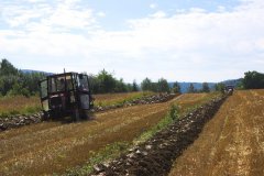 Massey Ferguson 255&Akpil 250