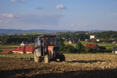 Massey Ferguson 255&Brona wahadłowa