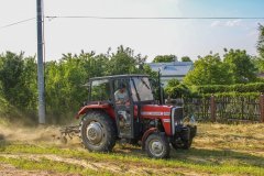 Massey Ferguson 255&Pająk