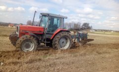 Massey Ferguson 3095 + OVERUM orka wymarzniętego rzepaku