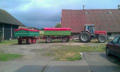 Massey Ferguson 3125