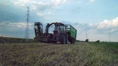 Massey Ferguson 3125